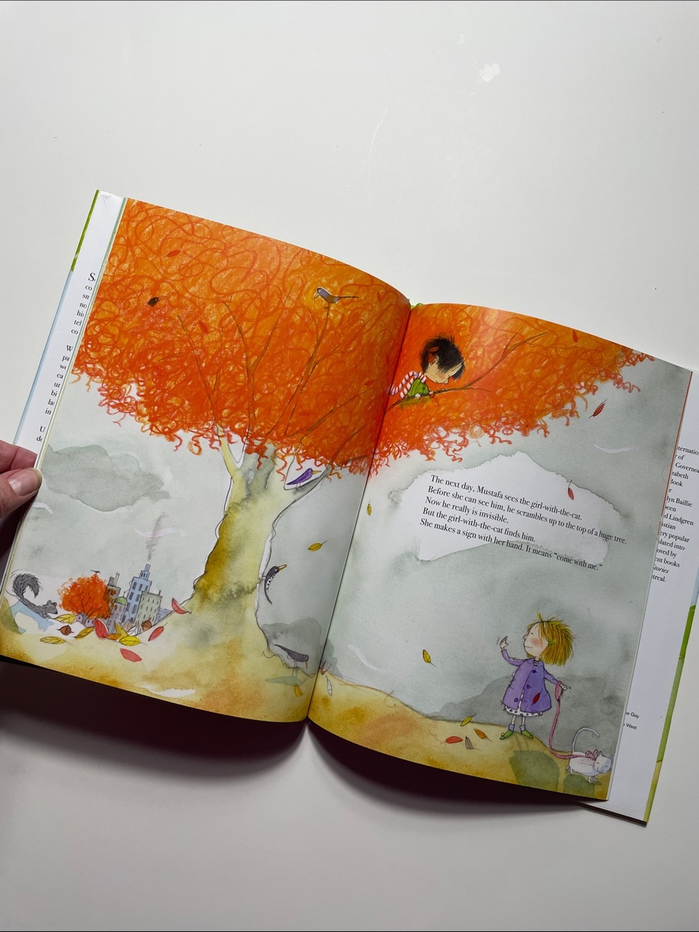 ๐ 4/$20 Mustafa by Marie-Louise Gay | Kids Books Childrens Book - Picture 2 of 4